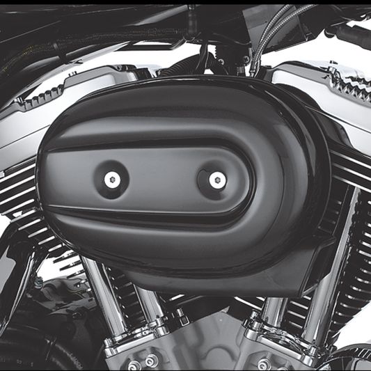 sportster air cleaner cover insert